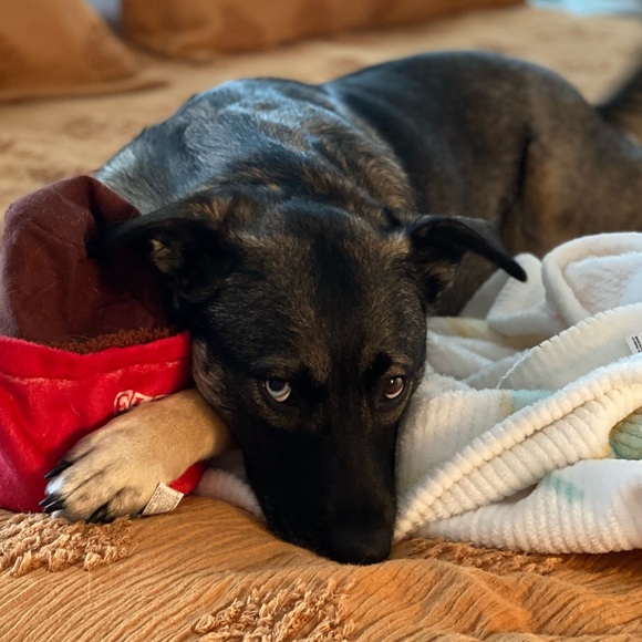 Meet your Posher, Michelle - Picture 4 of 10